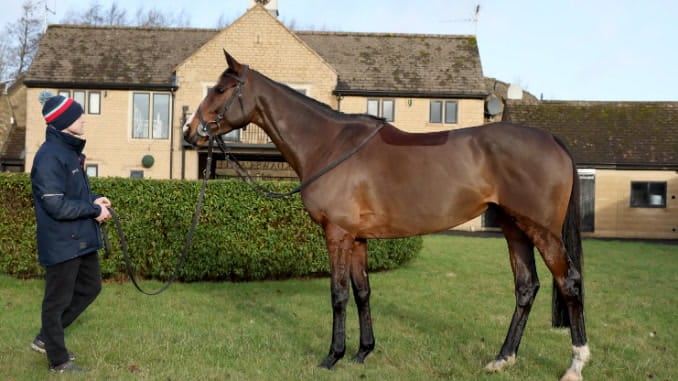 Exciting Grade 2 winning mare joins the Coral Racing Club – and she ...