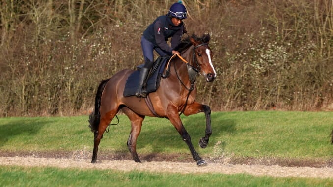 Coral Racing Course Pics Aspire To Glory puts in another gallant effort at Wolverhampton to ...
