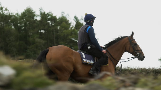 AnnieMc Video Thumbnail