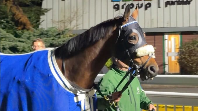 Coral Racing Course Pics Aspire To Glory puts in another gallant effort at Wolverhampton to ...