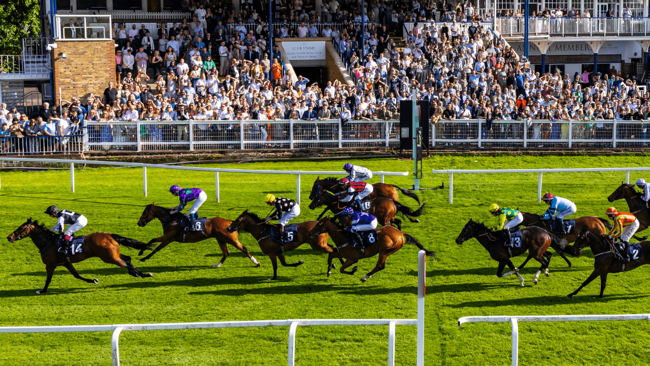 Coral Racing Course Pics ARC