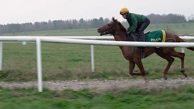 WATCH: Oliver Cole reveals the winner from the Name Your Horse competition